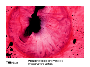 Perspectives: Electric Vehicles Infrastructure​​