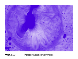 Perspectives: B2B Commerce